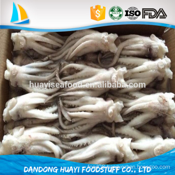 cheap and good quality frozen live squid head and squid tentacle